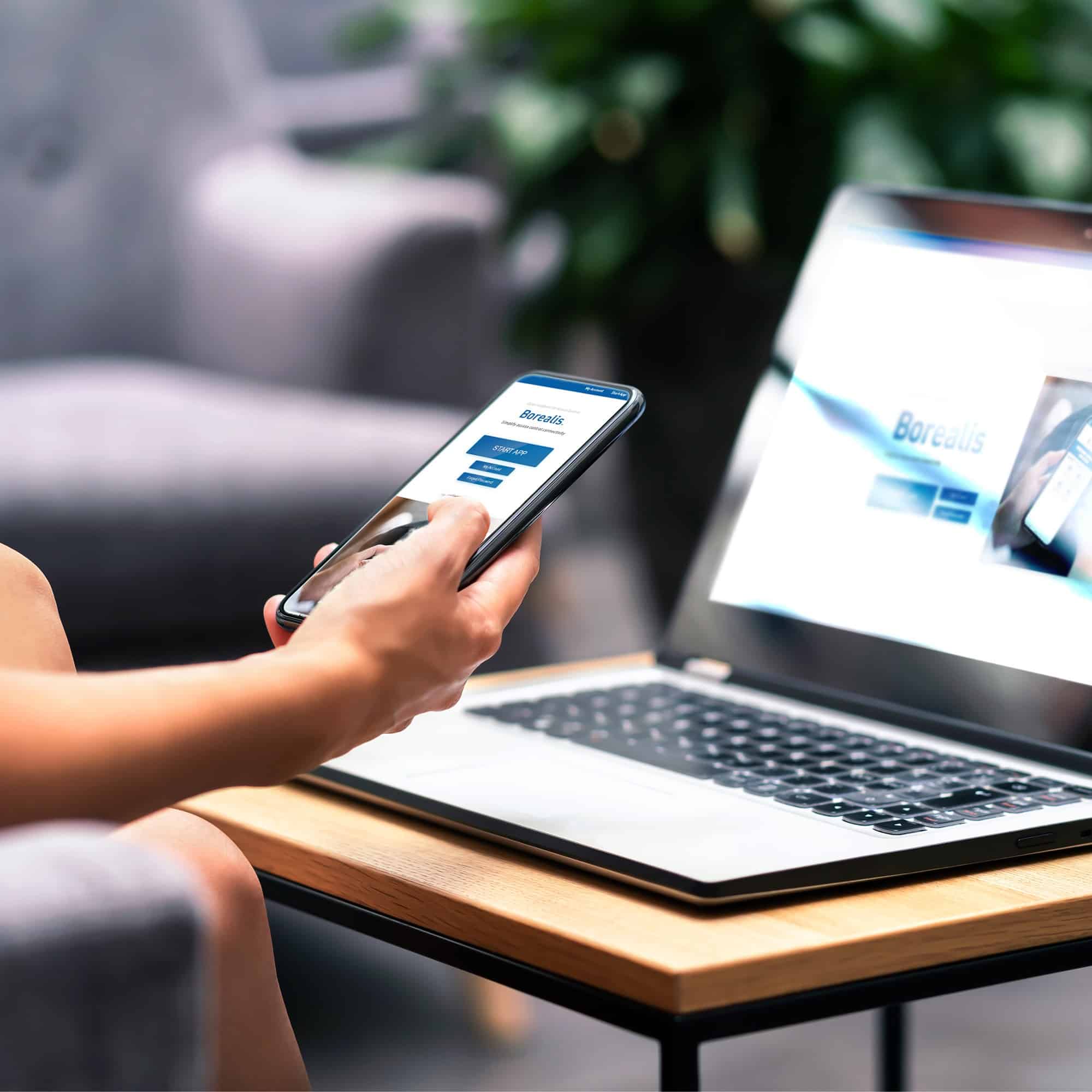 Borealis cloud based access control in use